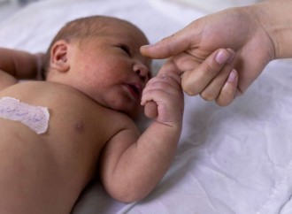 Saúde Cientistas acham enzima que identifica risco de morte súbita de bebês